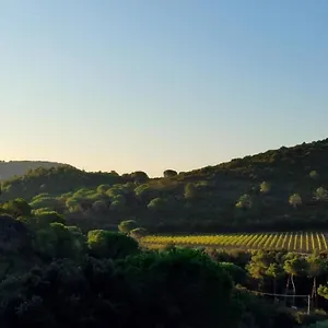 La Mi' Elba Appartamento Lacona